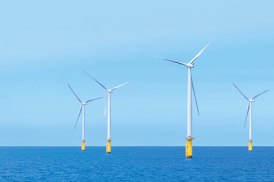 Wind farm in sunlight